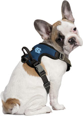 UNC Pet Dog Harness